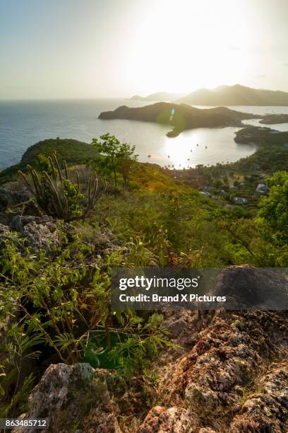 english harbour from shirley heights - nelsons dockyard stock pictures, royalty-free photos & images