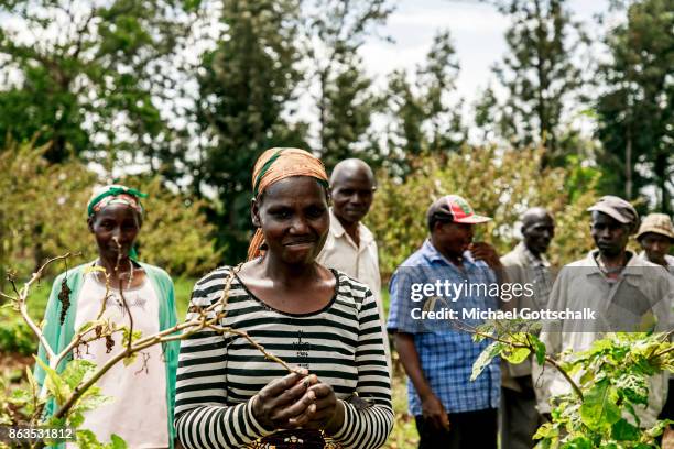 Kirinyaga, Kenya Male and female farmers at a field of a farm on which plants grow with the support of the irrigation system of local farming...