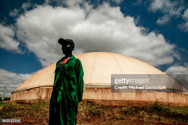 Thika, Kenya A worker at environmentally friendly and renewable energy bio gas generation in the Thika area at an avocado oil mill of Olivado company...