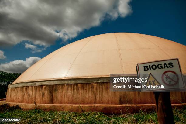 Thika, Kenya Environmentally friendly and renewable biogas energy generation in the Thika area at an avocado oil mill of Olivado company on October...