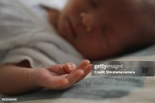 baby's hand - shiratama camera stock-fotos und bilder