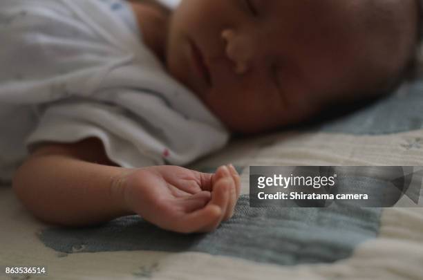 baby's hand - shiratama camera stock-fotos und bilder