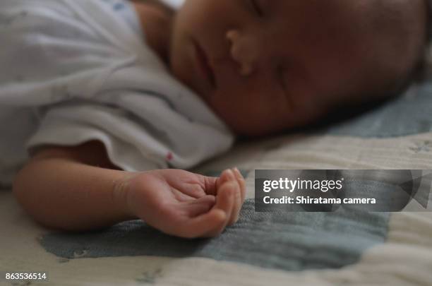 baby's hand - shiratama camera stock pictures, royalty-free photos & images