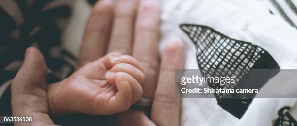 hands／parent and child - shiratama camera stock-fotos und bilder