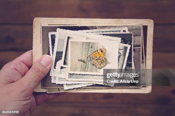 old memories - old photos stock pictures, royalty-free photos & images