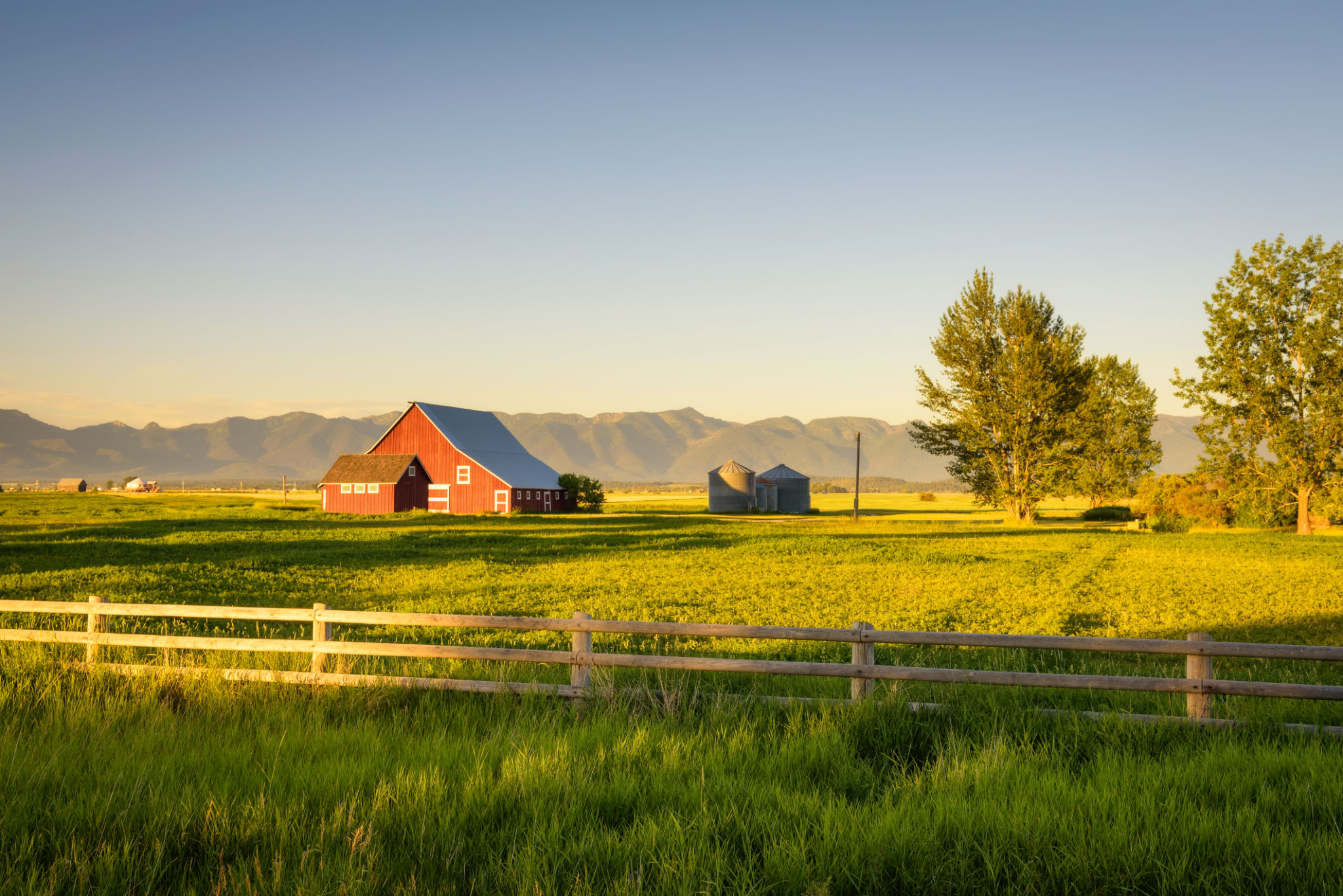 summer farm