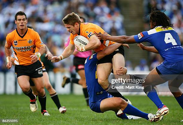 Chris Lawrence of the Tigers tries to break the defence during the round eight NRL match between the Bulldogs and the Wests Tigers at ANZ Stadium on...