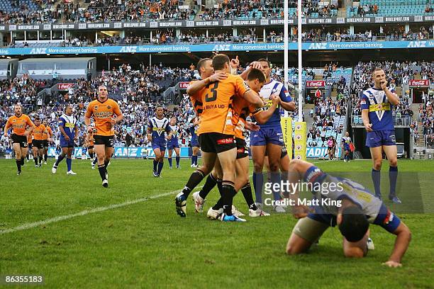 Beau Ryan of the Tigers celebrates with team mates after scoring a late try during the round eight NRL match between the Bulldogs and the Wests...