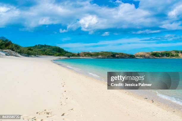 monkey beach great keppel island - keppel stock pictures, royalty-free photos & images