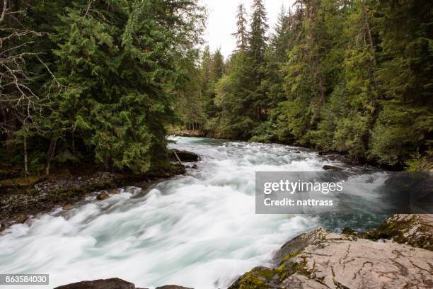 cheakamus river squamish whistler - pemberton valley stock pictures, royalty-free photos & images