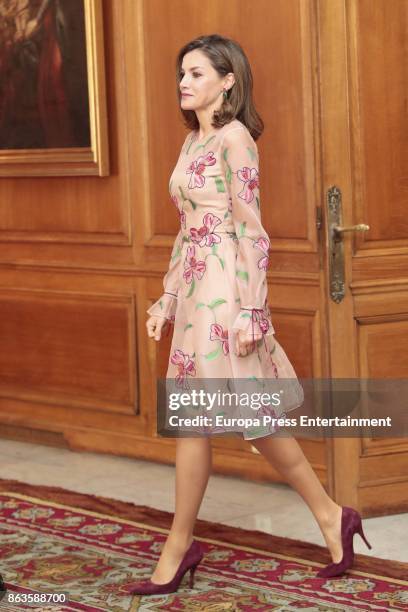 Queen Letizia of Spain attends several audiences during the Princess of Asturias awards 2017 at the Reconquista Hotel on October 20, 2017 in Oviedo,...