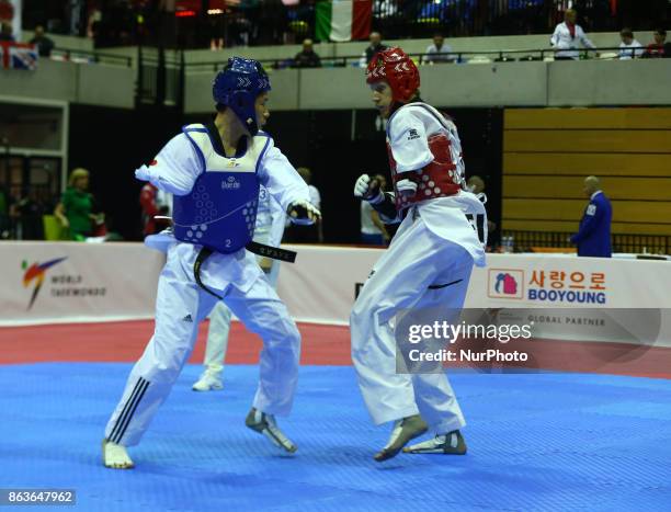 Chikara Ito of Japan against Matti Sairanen of Finland in the K44 Male K44 -61 Match 312 during 7th World Para Taekwondo Championships 2017 at Copper...