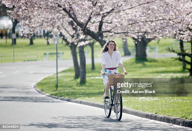 woman in white dress riding bike under blossoms - victoria canada stock pictures, royalty-free photos & images