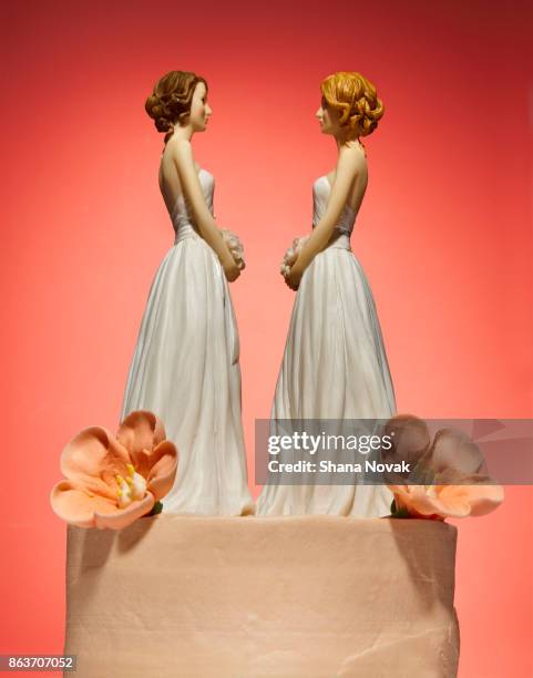 bride and bride wedding cake topper - marriage equality stock pictures, royalty-free photos & images