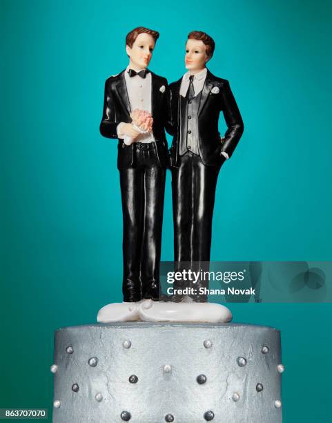 groom and groom wedding cake topper - marriage equality stock pictures, royalty-free photos & images