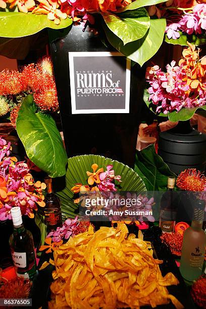 Atmosphere at the Rums of Puerto Rico booth at The 2009 James Beard Awards Gala at Avery Fisher Hall at Lincoln Center for the Performing Arts on May...