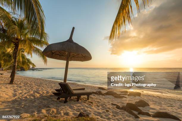 paradisiac and desert island, white sand beach, palm tree at sunset - mauritius bildbanksfoton och bilder