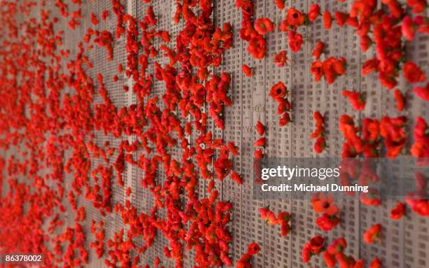 canberra  - remembrance poppy stock pictures, royalty-free photos & images