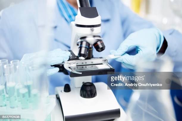 young woman working in laboratory - patholoog stockfoto's en -beelden