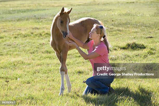 girl lovingly admires a horse foal outdoors - de jean le poulain photos et images de collection