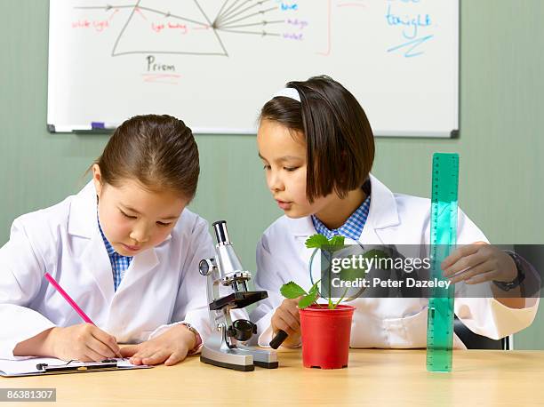 8 year old mixed race girls studying in science. - students plant lab stock pictures, royalty-free photos & images