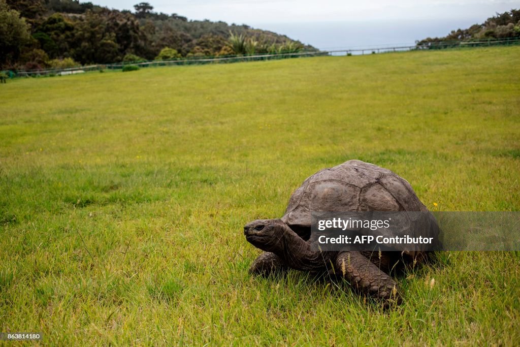 DOUNIAMAG-SAINTHELENA-CONSERVATION-ANIMAL