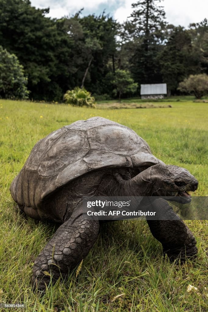 DOUNIAMAG-SAINTHELENA-CONSERVATION-ANIMAL