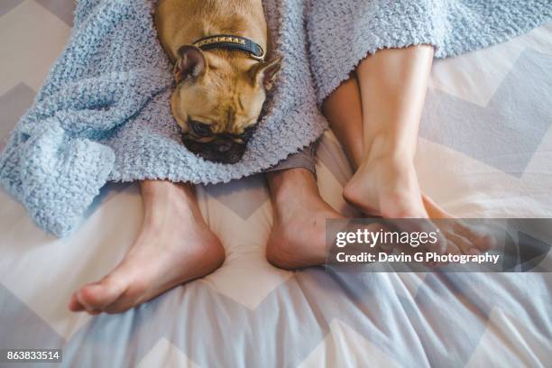 feet with dog - woman straddling man fotografías e imágenes de stock