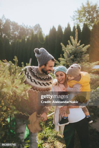 christmas preparation - tree plantation stock pictures, royalty-free photos & images
