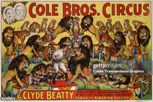 Postcard advertises the Cole Brothers Circus and its featured act, wild animal trainer Cyde Beatty, depicted surrounded by dozens of tigers and...