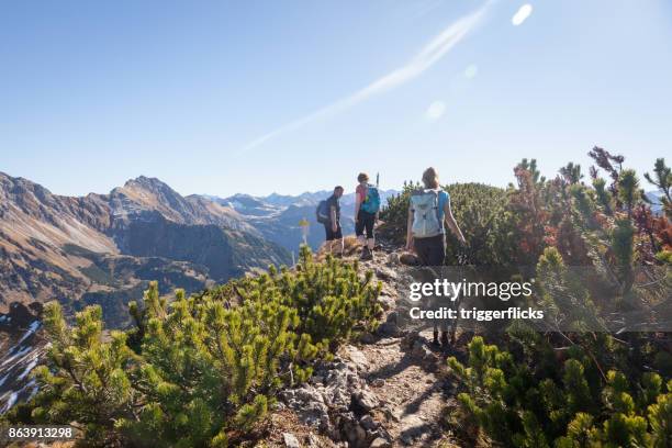 family hiking in the beautiful allgaeu alps - people climbing walking mountain group stock pictures, royalty-free photos & images