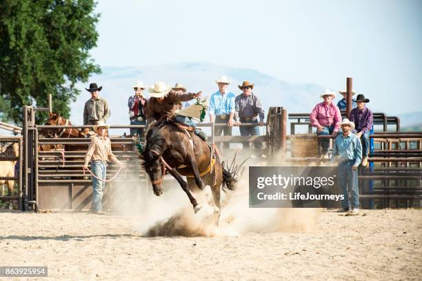 Rodeo Horse Rider Saddle Bronc Riding Photos and Premium High Res Pictures - Getty Images