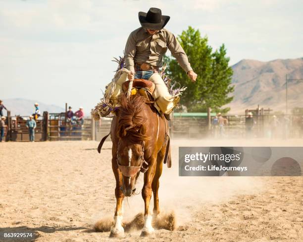 Hairy Muscle Man Photos and Premium High Res Pictures - Getty Images