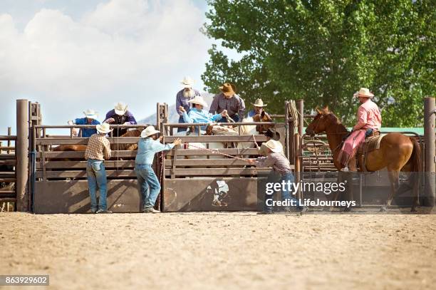Bronc Riding Rigging 54 Open Saddle Bronc Stock Photos, High-Res Pictures, and Images ...