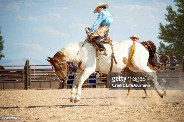 saddle bronc rider hoping for a good 8 second ride on his painted horse - cowboy riding stock pictures, royalty-free photos & images
