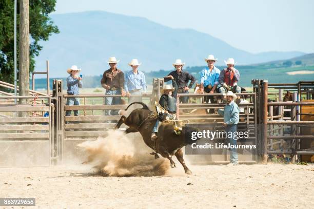 cowboy een grote donderende stier in de arena van een rodeo rijden - bull riding stockfoto's en -beelden