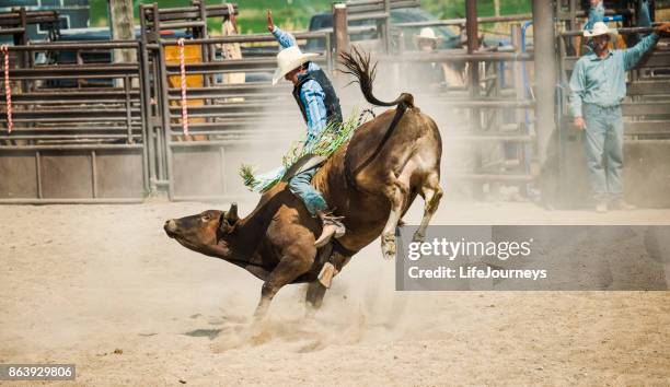 bull rider going for that golden 8 second ride - bull riding stock pictures, royalty-free photos & images