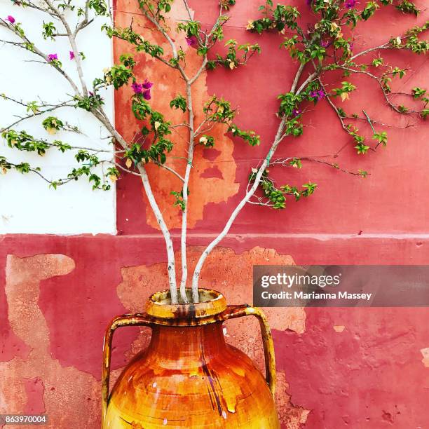 a colorful terra-cotta wall in italy - marianna wall stock pictures, royalty-free photos & images