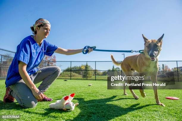 Dogs and one cat arrived at the Animal Refuge League of Greater Portland Thursday morning following a long flight from Puerto Rico. The Puerto Rican...