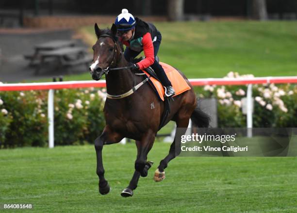 Dean Yendall riding Royal Symphony during trackwork session at Moonee Valley Racecourse on October 21, 2017 in Melbourne, Australia.