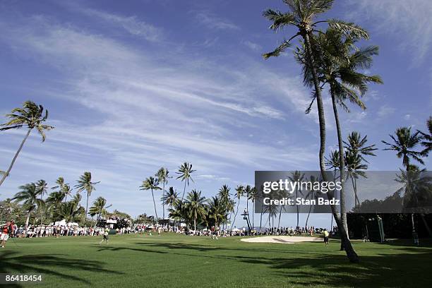 Course scenic at the 11th hole during the Sony Open, January 15 held at Waialae Country Club, Honolulu, Hawaii. David Toms shot 19 under to win the...