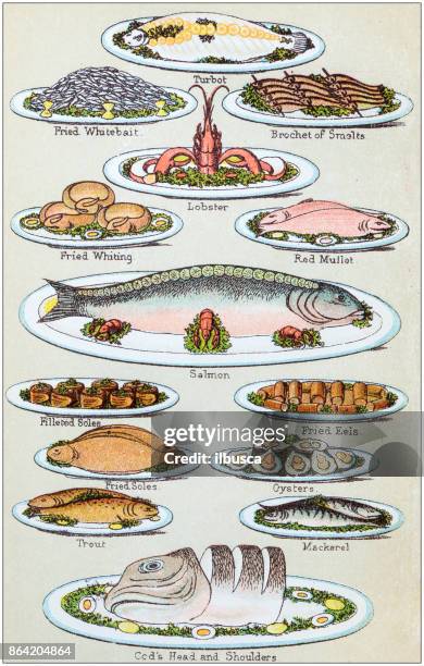 stockillustraties, clipart, cartoons en iconen met antieke recepten boek gravure illustratie: zeevruchten - sole