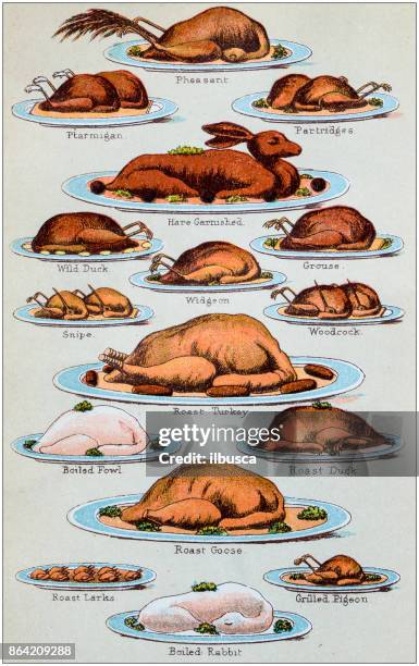 antique recipes book engraving illustration: poultry and game - pheasant stock illustrations