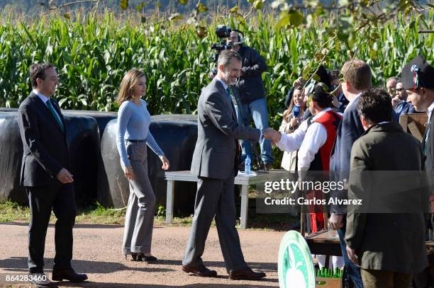 Queen Letizia of Spain and King Felipe of Spain visit Porenu village on October 21, 2017 in Villaviciosa, Spain. Porenu has been honoured as the 2017...