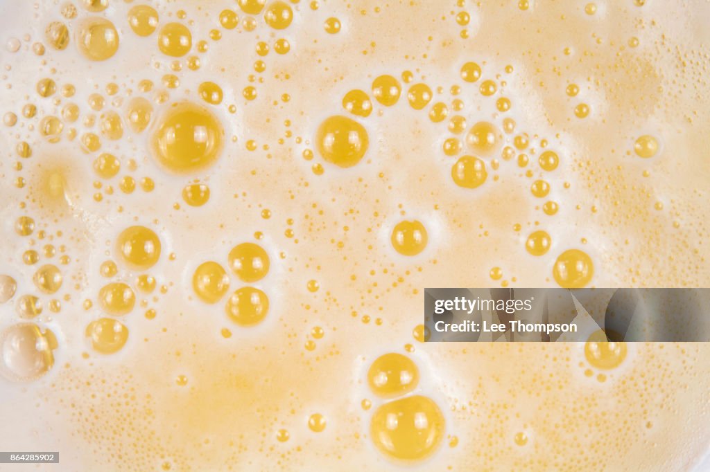 Froth Bubbles on Beer