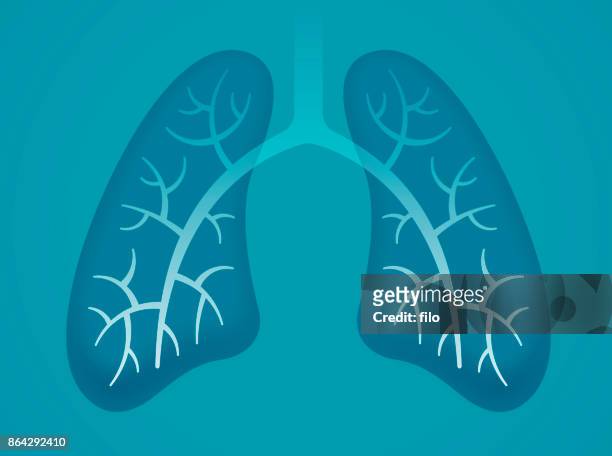 human lungs - respiratory disease stock illustrations