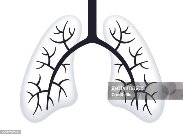 lungs - respiratory disease stock illustrations