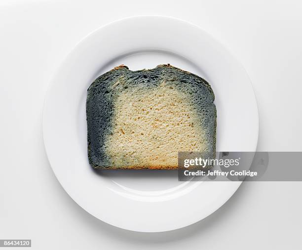 slice of moldy bread - moldy bread stock pictures, royalty-free photos & images