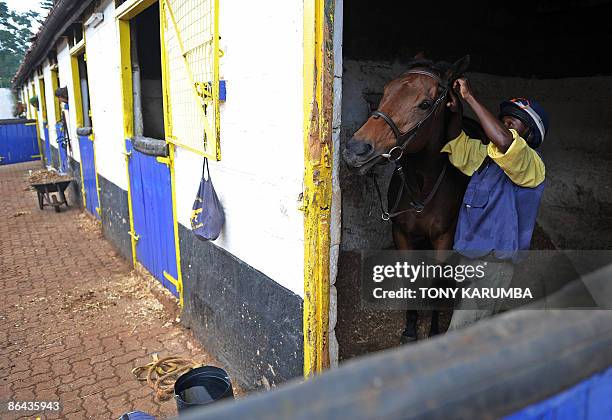 This photo taken on April 7, 2009 shows a Kenyan horse trainer preparing a horse for a morning workout at the Ngong race-course in Nairobi. Started...