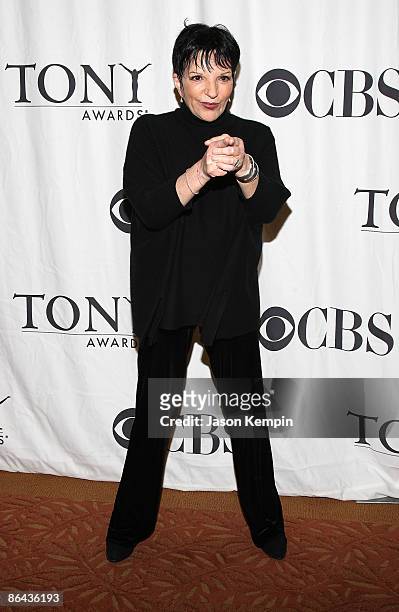 Actress Liza Minnelli attends the 2009 Tony Awards Meet the Nominees press reception at The Millennium Broadway Hotel on May 6, 2009 in New York City.
